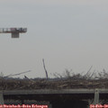 12_10-mast.jpg