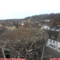 12_10-nest.jpg