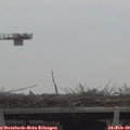 12_15-mast.jpg