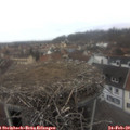 12_15-nest.jpg