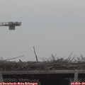 12_20-mast.jpg