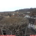 12_20-nest.jpg