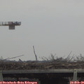 12_25-mast.jpg