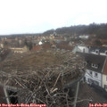 12_25-nest.jpg