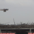 12_35-mast.jpg