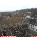 12_40-nest.jpg