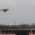 12_45-mast.jpg