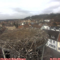 12_45-nest.jpg