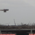 12_50-mast.jpg