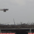 12_55-mast.jpg