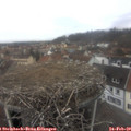 12_55-nest.jpg