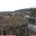 13_00-nest.jpg