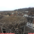 13_05-nest.jpg