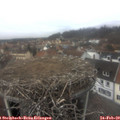 13_10-nest.jpg