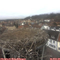 13_15-nest.jpg