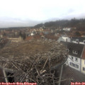 13_20-nest.jpg