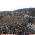 13_50-nest.jpg