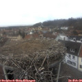 13_55-nest.jpg