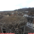 14_05-nest.jpg