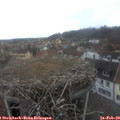 14_10-nest.jpg