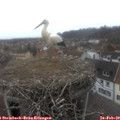 14_45-nest.jpg