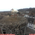 14_50-nest.jpg