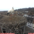 14_55-nest.jpg