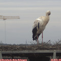 15_10-mast.jpg