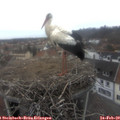 15_10-nest.jpg