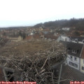 15_15-nest.jpg
