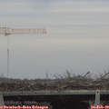 15_20-mast.jpg