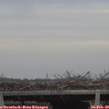 15_25-mast.jpg