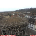 15_25-nest.jpg