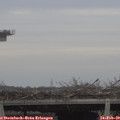 15_30-mast.jpg
