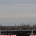 15_35-mast.jpg