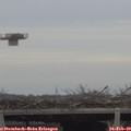 15_40-mast.jpg