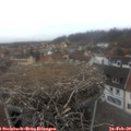 15_40-nest.jpg