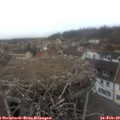 15_50-nest.jpg