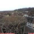 15_55-nest.jpg