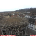 16_00-nest.jpg