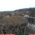 16_10-nest.jpg