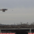 16_25-mast.jpg