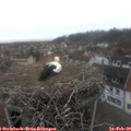 16_35-nest.jpg