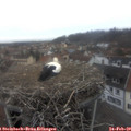 16_40-nest.jpg