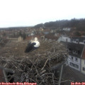 16_50-nest.jpg