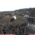 16_55-nest.jpg