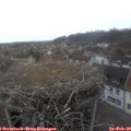17_05-nest.jpg