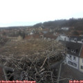 17_10-nest.jpg