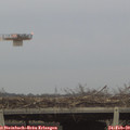 17_25-mast.jpg