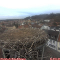 17_35-nest.jpg